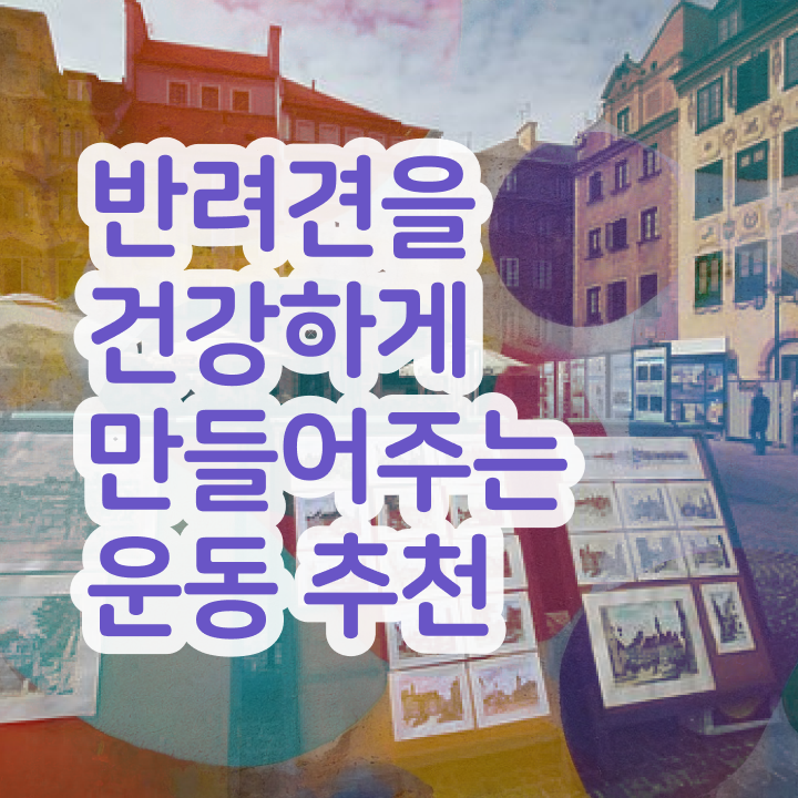  반려견운동지도사 취득한 방법 , 취득 후 전망