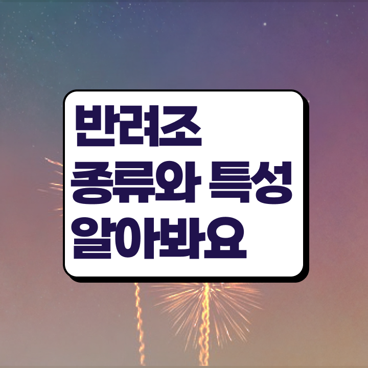  , 반려조관리사 자격증 1급,2급 동시에 취득한 방법 , 무료수강 혜택