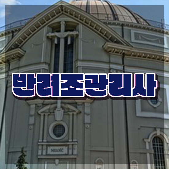  반려조관리사 , 반려조관리사 자격증 1급,2급 동시에 학습한 후기 콕콕 짚어드립니다