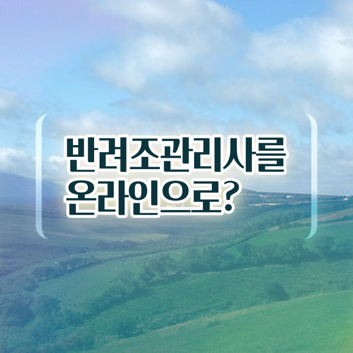  반려조관리사 , 반려조관리사 자격증 온라인으로 간단히 취득한 과정 , 무료수강 혜택