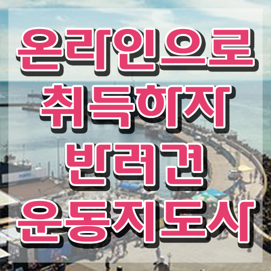  반려견운동지도사 공부 , 반려견운동지도사 인강만 듣고 준비한 방법