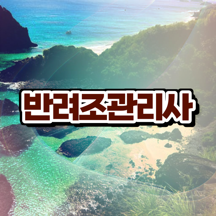  , 반려조관리사 자격증 독학으로 취득한 과정 최신정보 공유