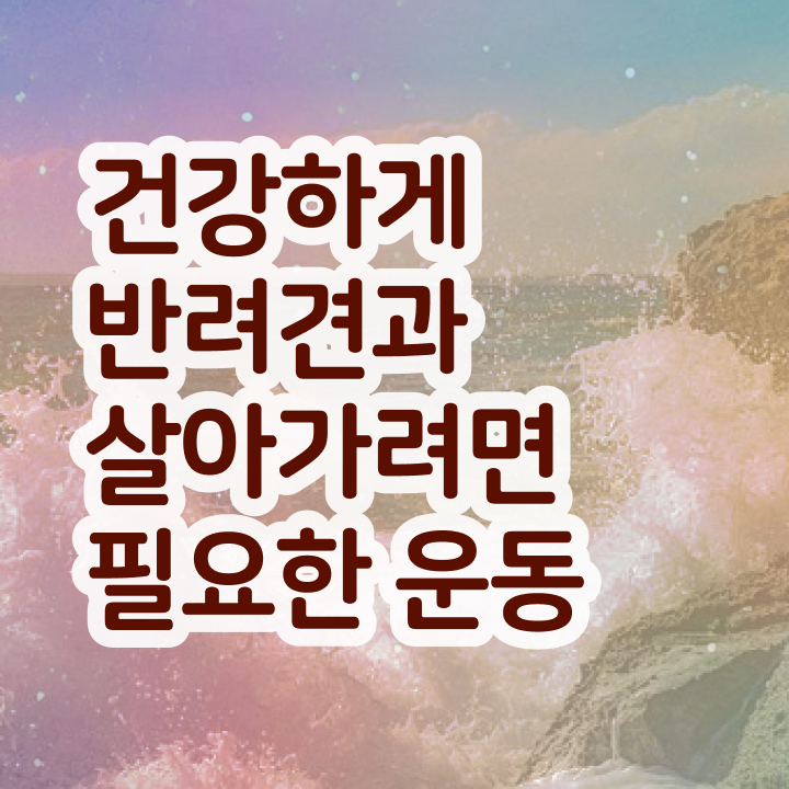  40대 경단녀 , 반려견운동지도사 인강만 듣고 비전공 직장인도 초단기 준비한 노하우