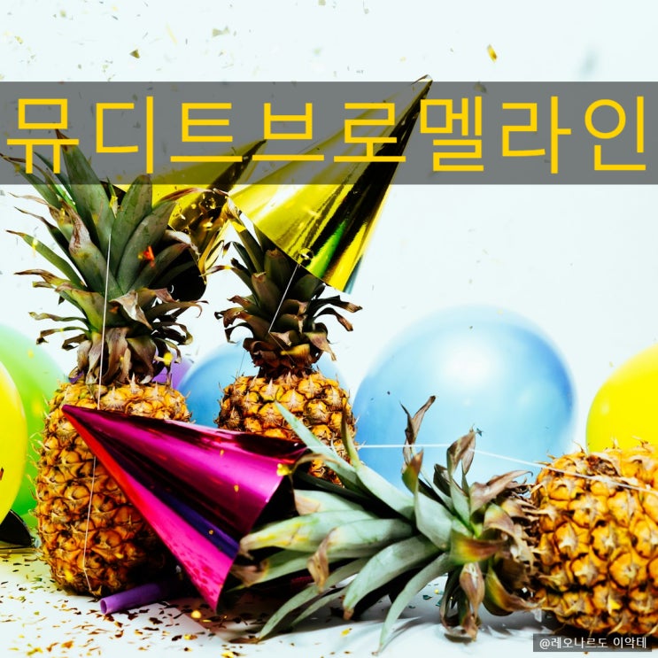  뮤디트브로멜라인 체중 감량과 소화개선 염증 완화 들에 도움을 줄 수 있는 건강 보조 식품