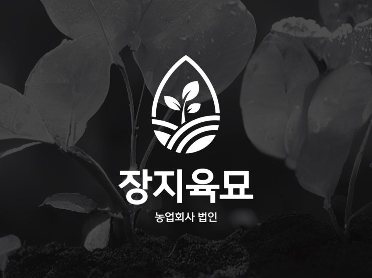  농업회사 아이덴티티 씨앗 파종 육묘장 로고디자인