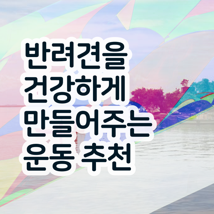  , 반려견운동지도사 완료한 방법