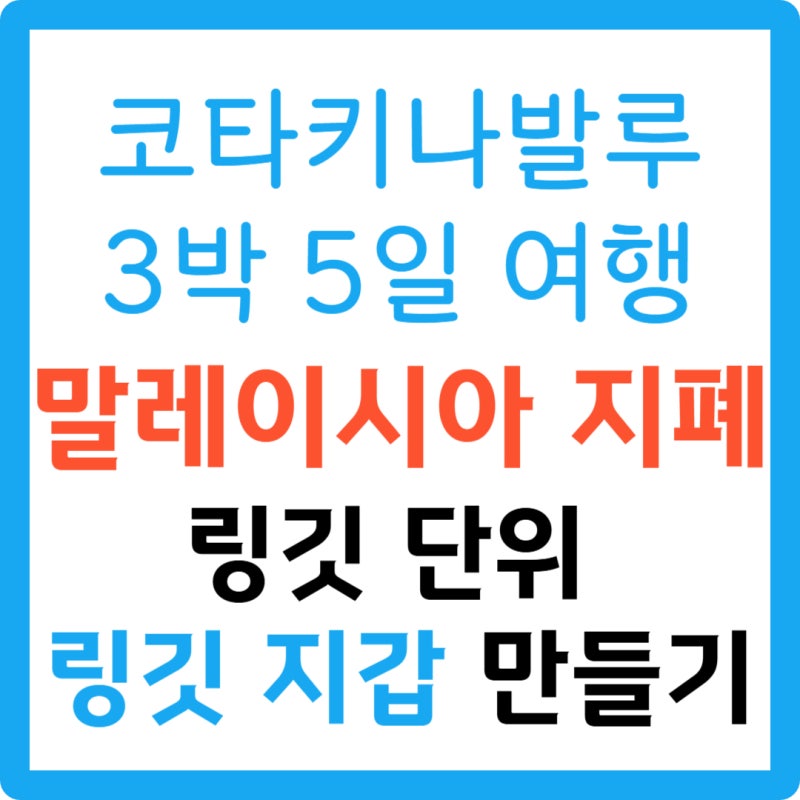 말레이시아 화폐 6종류 링깃 단위 링깃 지갑 만들기