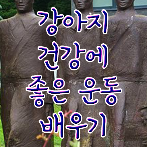  , 반려견운동지도사 동영상으로 합격 비법