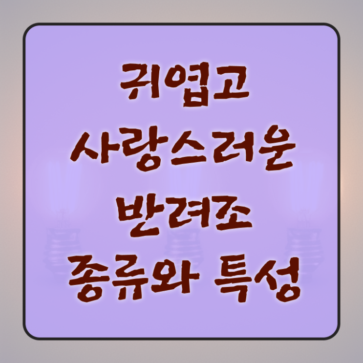  , 반려조관리사 자격증 취득한 정보 요점정리