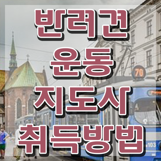  반려견운동지도사 , 단기간에 반려견운동지도사 취득 정보