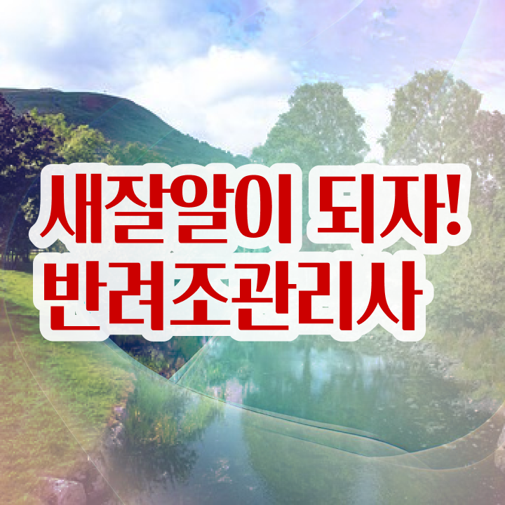  , 반려조관리사 자격증 비용없이 온라인으로 취득한 노하우 , 취업