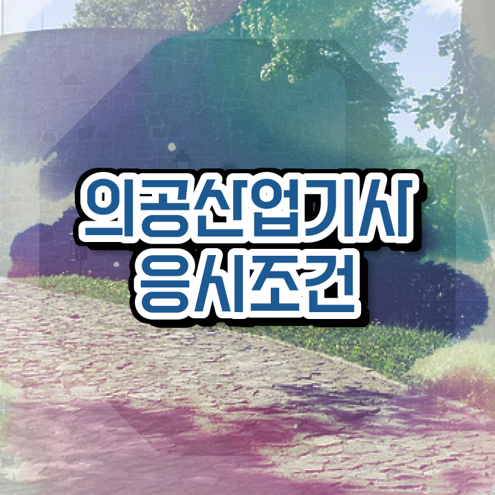  의공산업기사 응시자격 서류제출 의공산업기사 자격요건 집에서 온라인으로 빠르게 성공한 팁