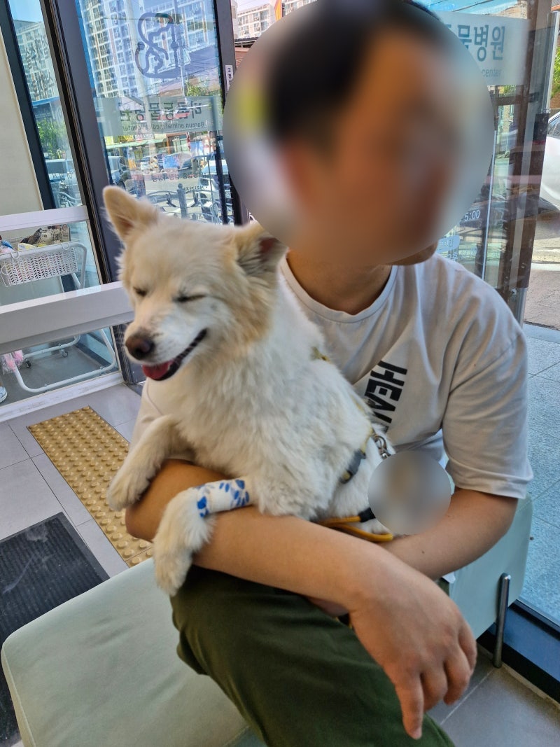 바른동물병원 사진 2