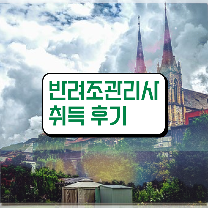 , 반려조관리사 자격증 1급,2급 동시에 취득한 정보 및 고용 전망