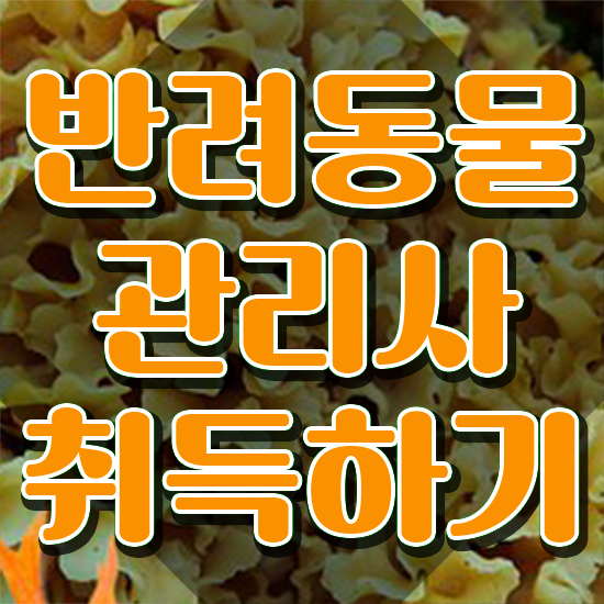  반려동물관리사무료수강 , 반려동물관리사 자격증 간단하게 시험준비 , 취업