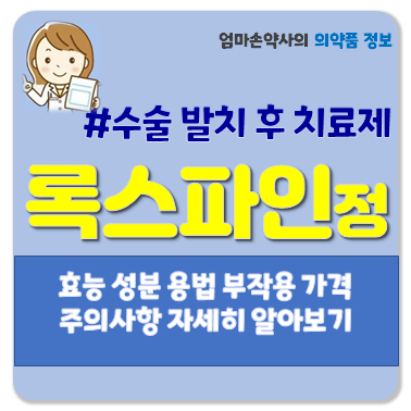록스파인정 소염진통해열 관절염 요통 견관절주위염 경견완증후군 록스파인 효능 용법 부작....