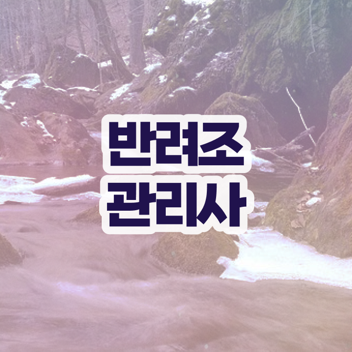  반려조관리사 , 반려조관리사 자격증 한달 만에 취득한 방법 , 구직정보