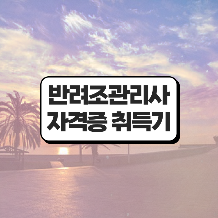  , 반려조관리사 자격증 온라인으로 쉽게 취득한 방법 궁금하다면