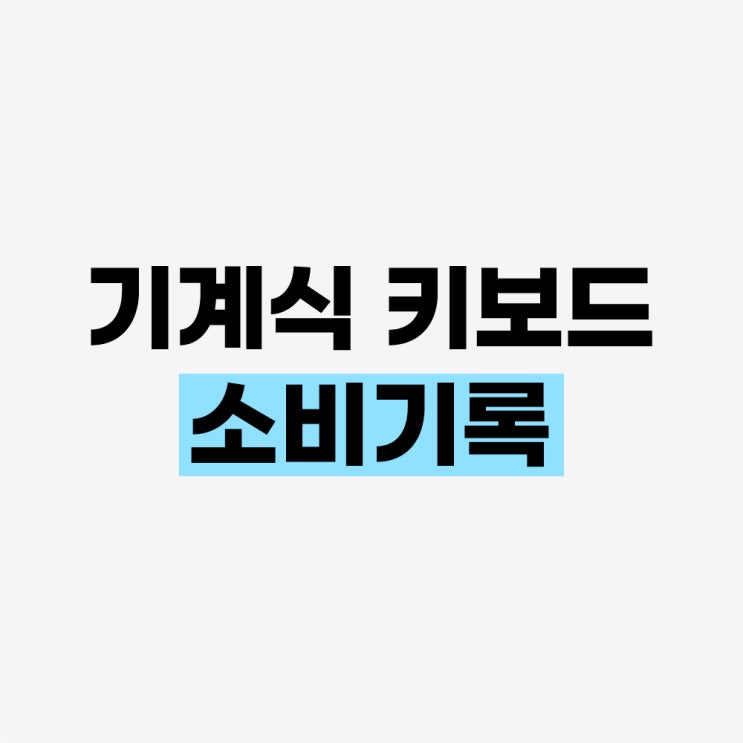  소비기록 - 추가로 지른 기계식 키보드 주변기기