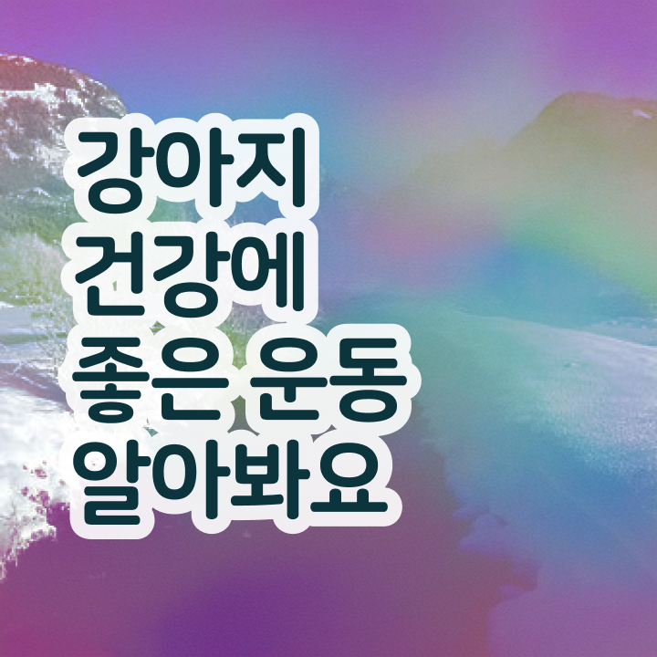  , 반려견운동지도사 인강으로 고졸도 초단기 준비했던 전략