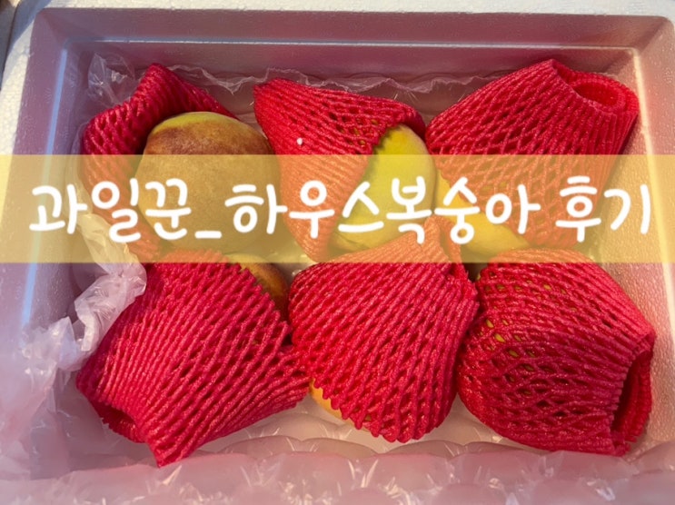  과 일꾼_하우스 복숭아 구매 후기 (중_사이즈)