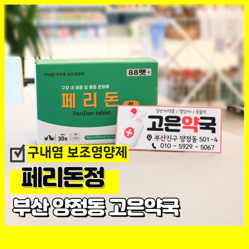 페리돈정 강아지 고양이 구내염 구강염증 잇몸염
