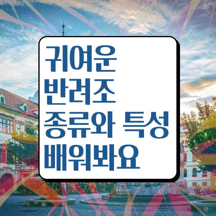  , 반려조관리사 자격증 취득한 노하우 확인해봅시다