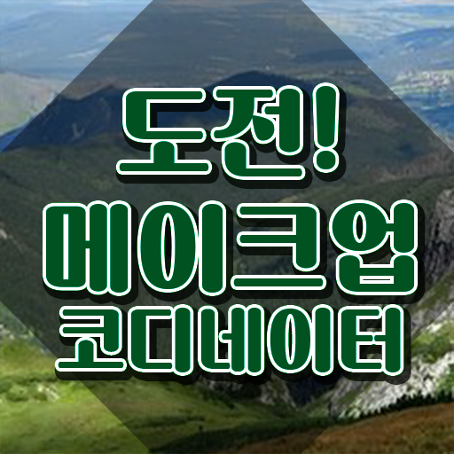  메이크업포에버 아티스트 , 메이크업코디네이터 자격증 합격한 전략 확인