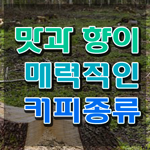  바리스타 용어 , 바리스타 자격증 15일 만에 준비한 방법 및 전망