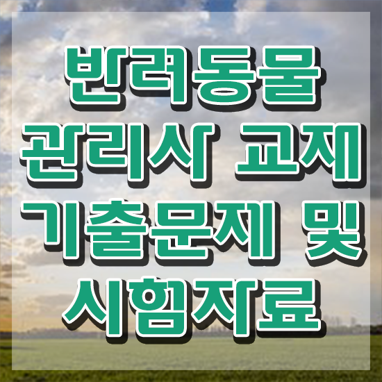  부산 강아지 훈련사 , 반려동물관리사 자격증 시험준비 제가 알려드릴게요
