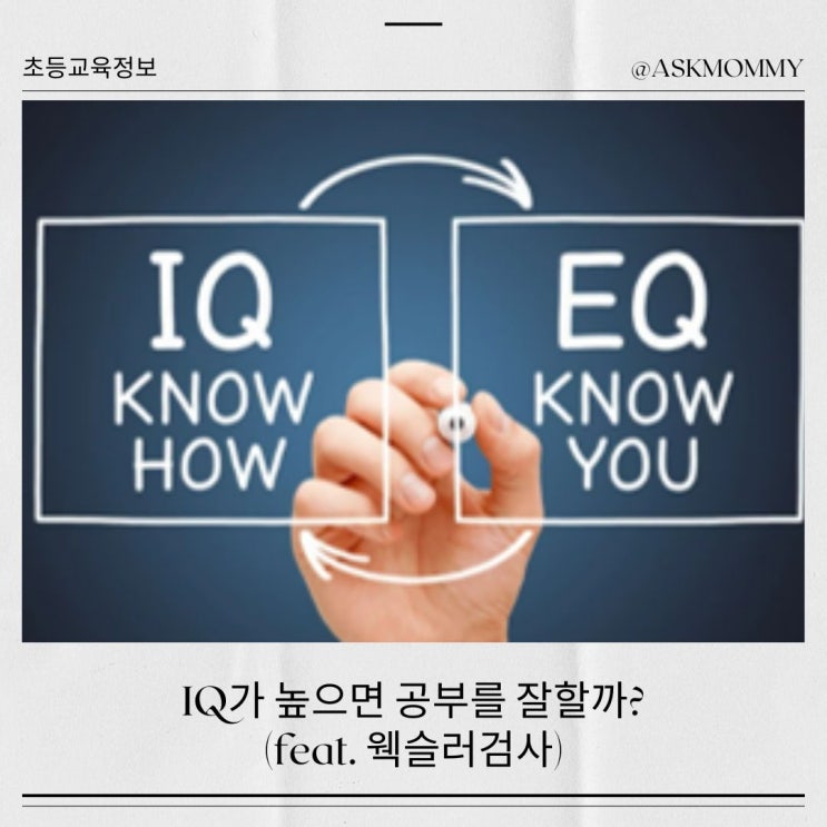  웩슬러검사 결과_IQ가 높으면 공부도 잘할까?