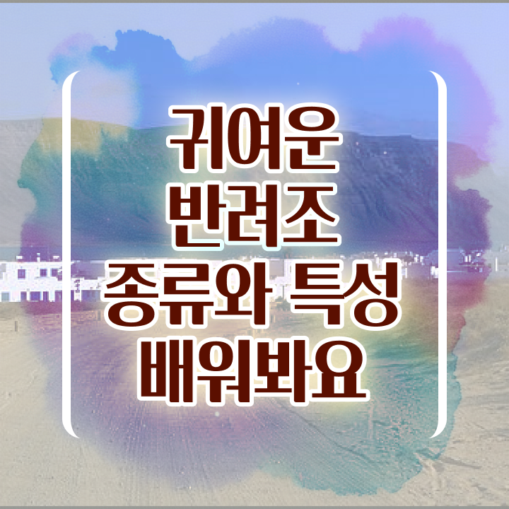  , 반려조관리사 자격증 1급,2급 동시에 취득한 노하우 정리해봤어요