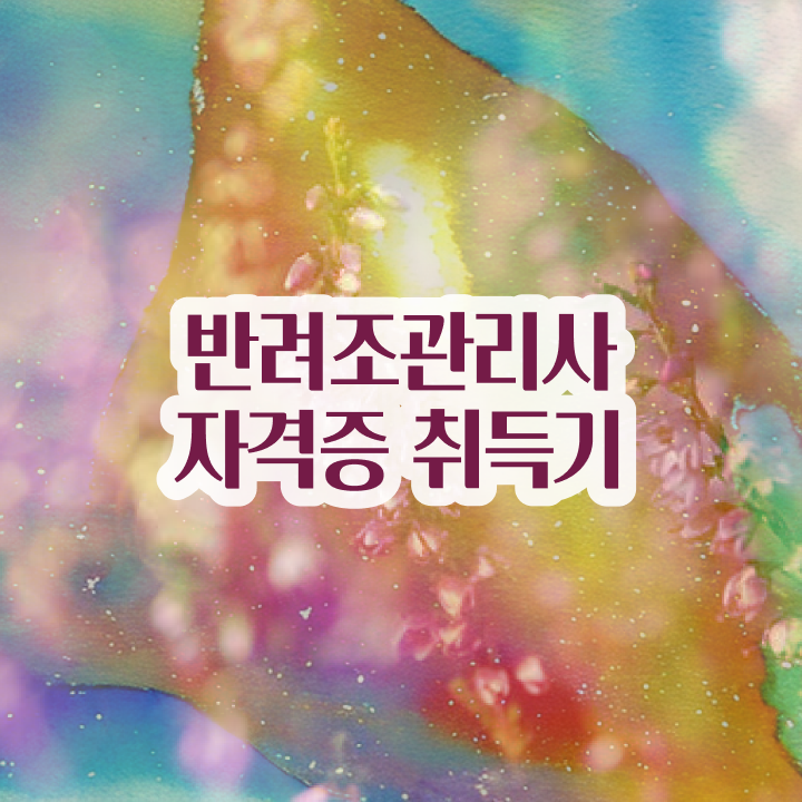  , 반려조관리사 자격증 취득한 노하우 궁금하셨다면