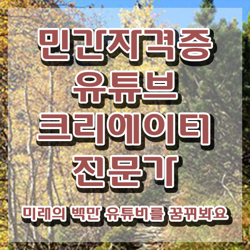  유튜브크리에이터전문가 , 유튜브크리에이터전문가 자격증 20일 만에 시험준비 정보 퍼펙트 요약