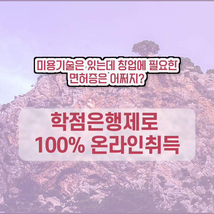  미용종합면허증 발급 , 최단기간에 종합미용면허 자격증 이렇게 따면 되요