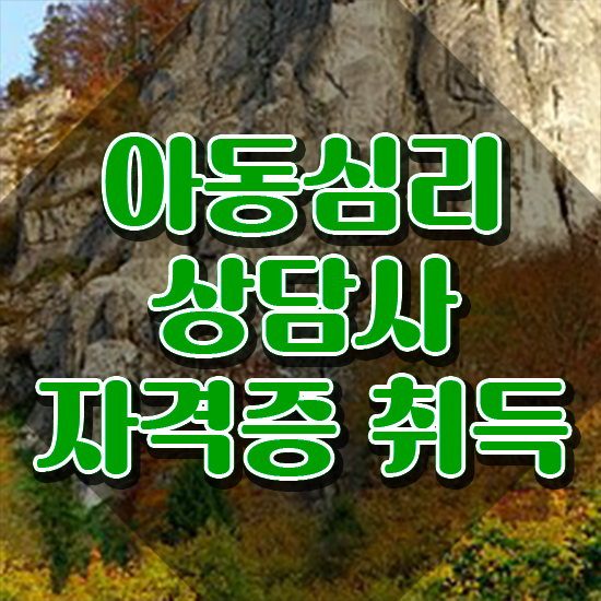  대구 아동심리상담 , 아동심리상담사 자격증 20일 만에 합격한 전략 총 정리