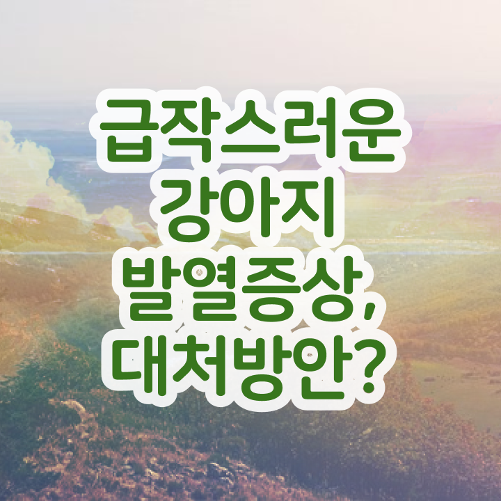  50대취업 , 반려동물관리사 자격증 2주 만에 취득한 정보 , 향후 전망