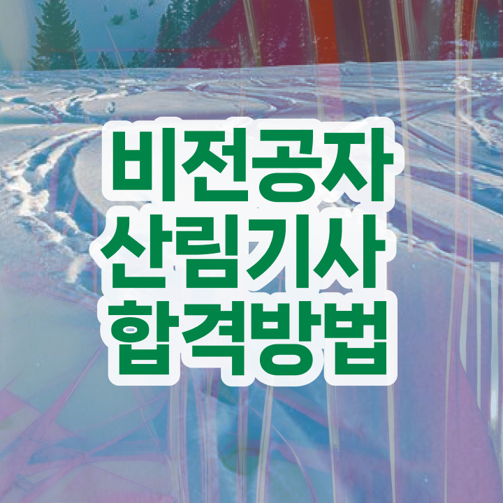  산림기사 합격률 산림기사 취득자격 온라인 수업으로 빠르게 성공한 후기