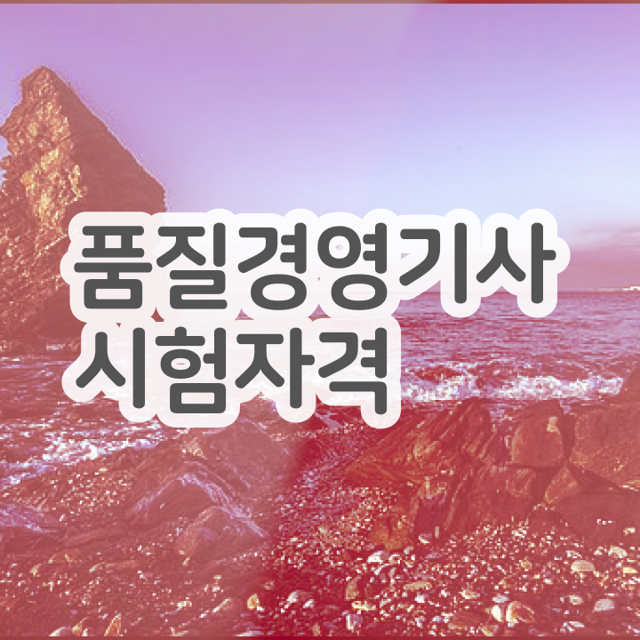  품질경영기사 일정 품질경영기사 취득자격 집에서 온라인으로 반 년만에 끝낸 팁