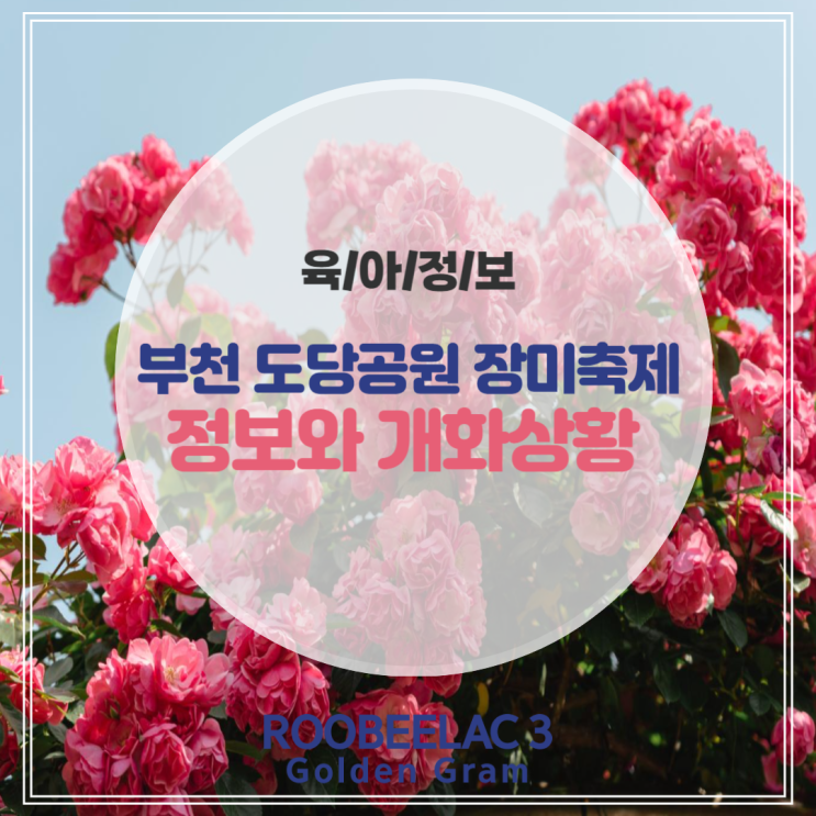  부천 장미축제 아이랑 갈만한 도당공원 백만송이 장미원 축제 개화상황 + 주차 by. 덴마크 슈퍼 프리미엄 분유 루비락 3