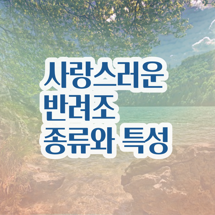  반려조관리사 , 반려조관리사 자격증 20일 만에 합격한 비법 , 활용 방법
