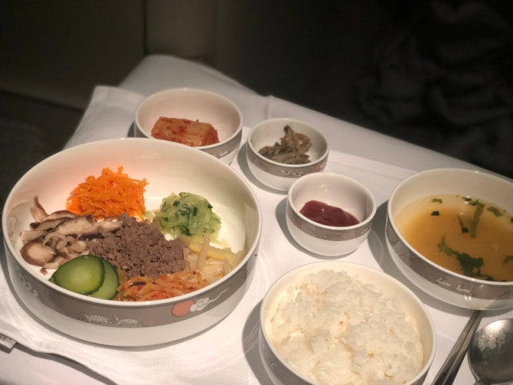 아시아나 비지니스 좌석 프랑크푸르트 루프트한자 라운지 후기 아시아나 비지니스 좌석 프랑크푸르트 루프트한자 라운지 후기