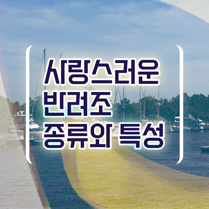  모란앵무 새끼 , 반려조관리사 자격증 합격정보 정보 모두 드려요