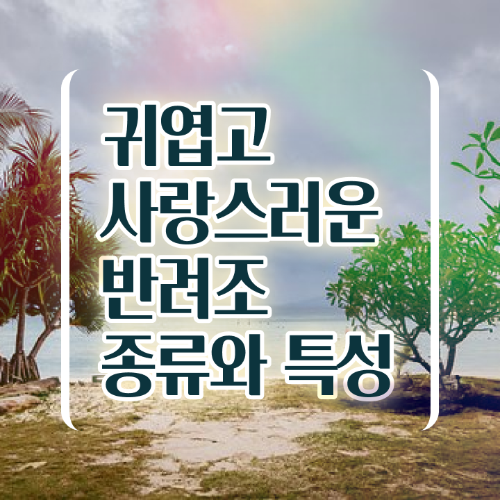  반려조관리사 , 반려조관리사 자격증 간단하게 합격한 팁 총 정리