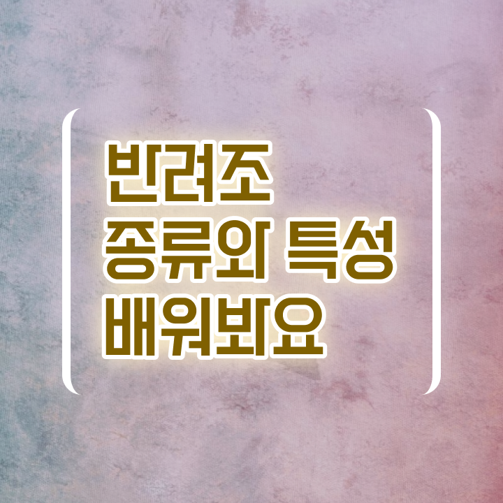  , 반려조관리사 자격증 온라인으로 간단히 취득한 노하우 및 취업