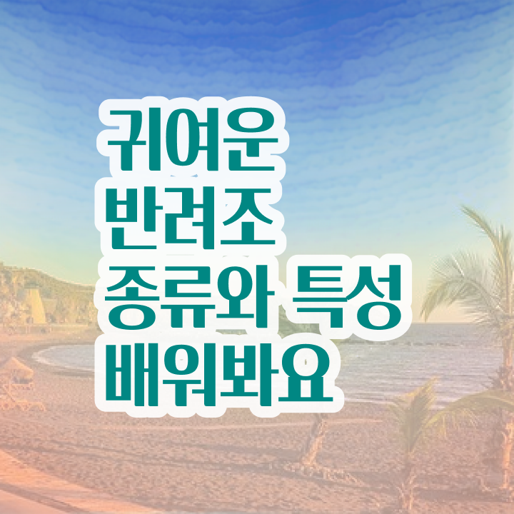  반려조관리사 , 반려조관리사 자격증 온라인으로 쉽게 합격정보 , 취업 전망