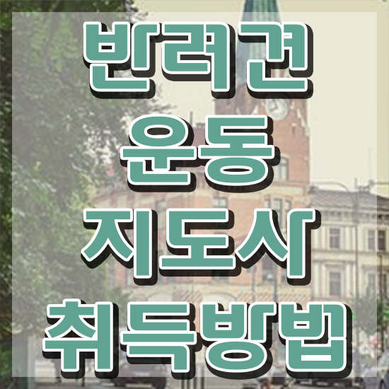  , 반려견운동지도사 직장인도 최단기간 끝내는 전략