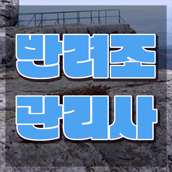  , 반려조관리사 자격증 1달 만에 취득했던 후기 및 고용 전망