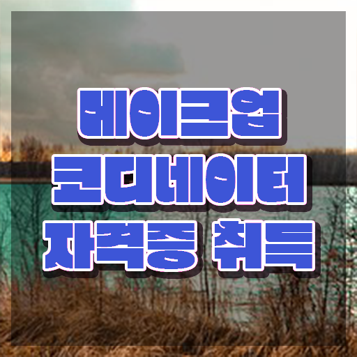  메이크업실기시험 , 메이크업코디네이터 자격증 2주 만에 합격한 후기 핵심 공개