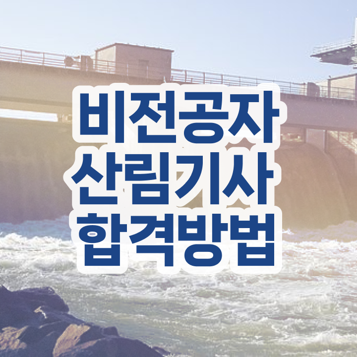  산림기사 자격조건 산림기사 자격요건 온라인으로 1학기에 준비한 전략